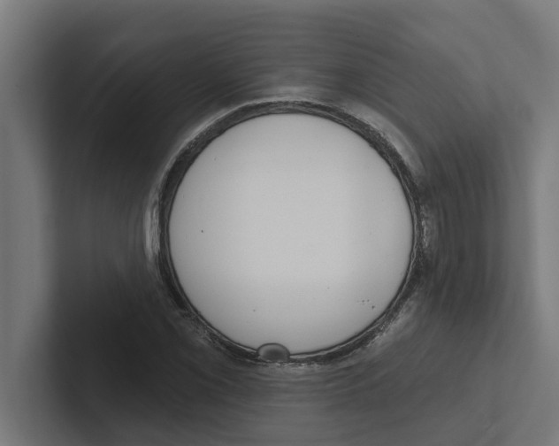 X0000102291069200808221352