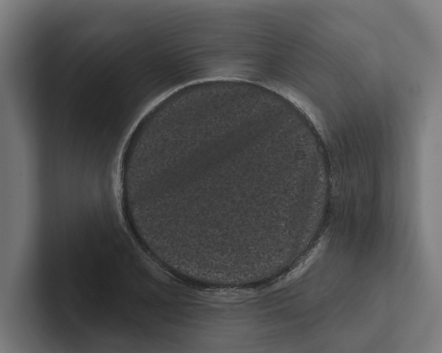 X0000102291077200808221352