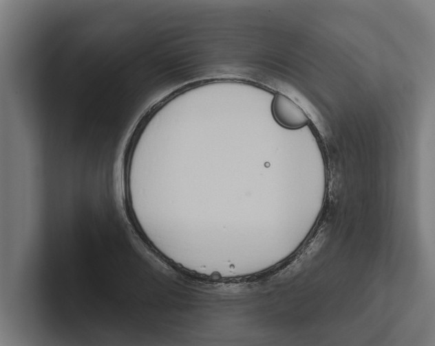 X0000102291080200808221352