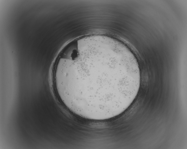 X0000102291083200808221352