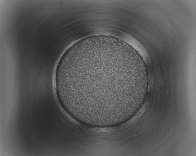 X0000102291084200808221352