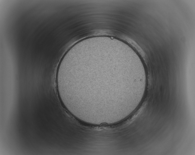 X0000102291089200808221352