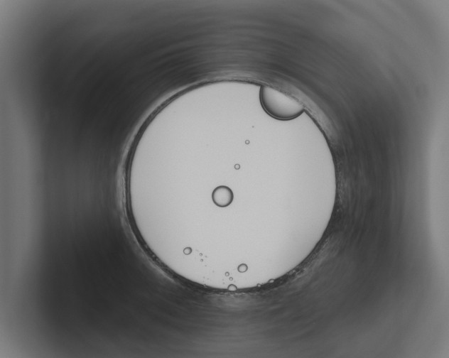 X0000102291092200808221352