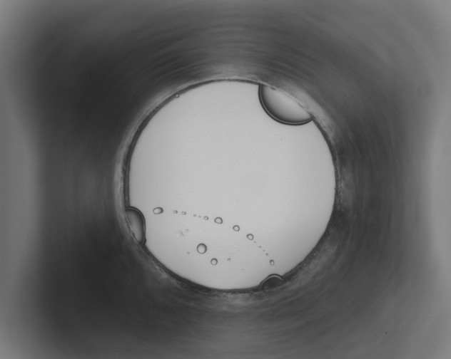 X0000102291096200808221352