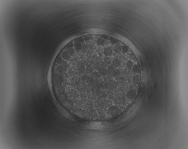 X0000102291098200808221352