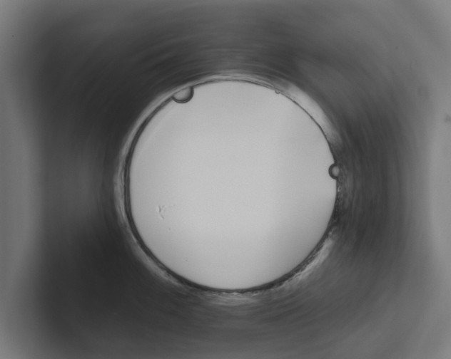 X0000102291100200808221352