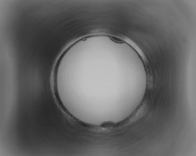 X0000102291101200808221352