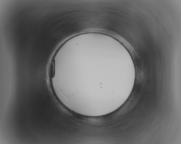 X0000102291102200808221352