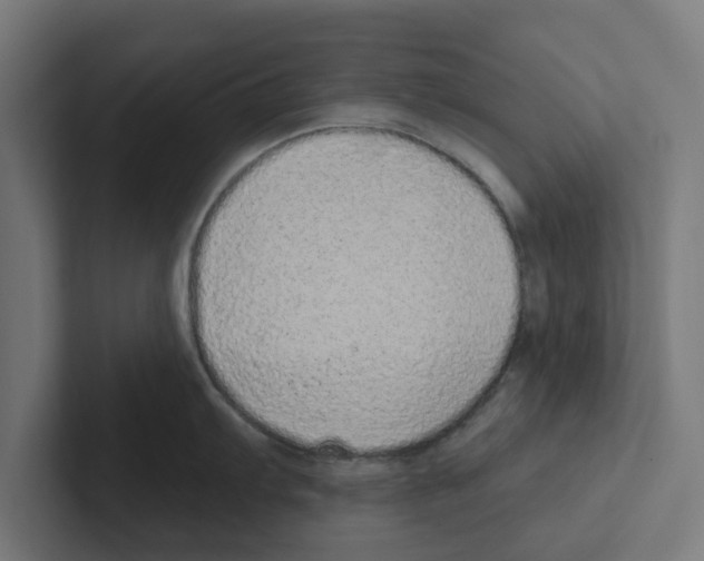 X0000102291103200808221352