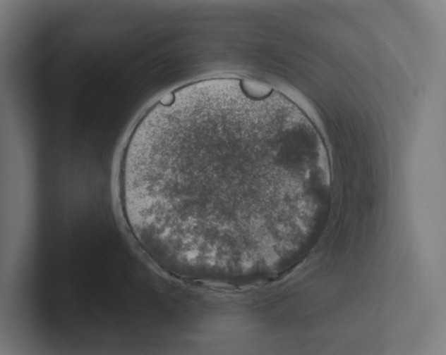 X0000102291104200808221352