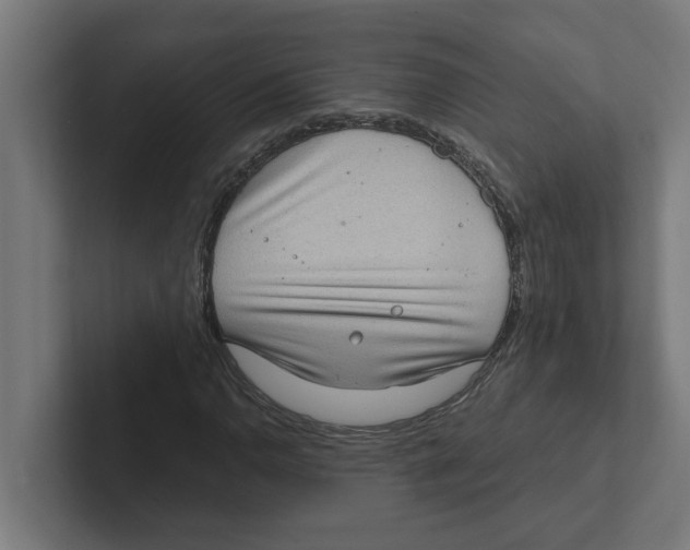 X0000102291110200808221351