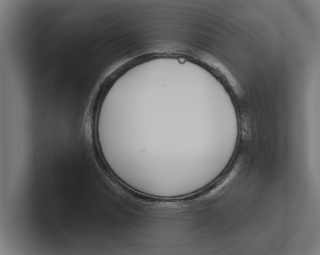 X0000102291114200808221351