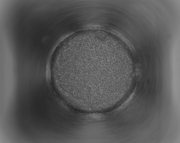 X0000102291117200808221351