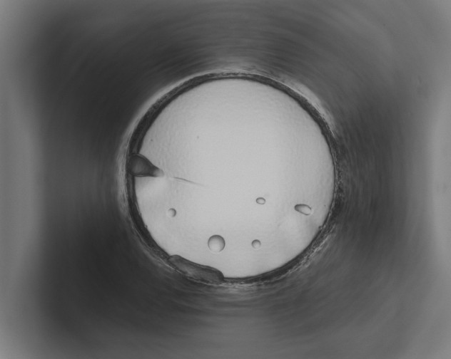 X0000102291120200808221351