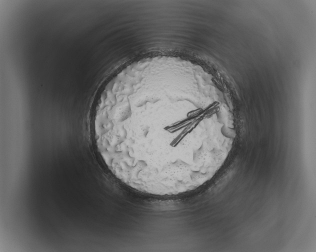 X0000102291121200808221351