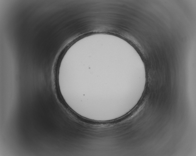 X0000102291122200808221351