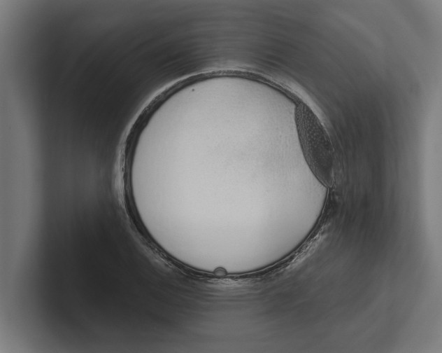 X0000102291124200808221351