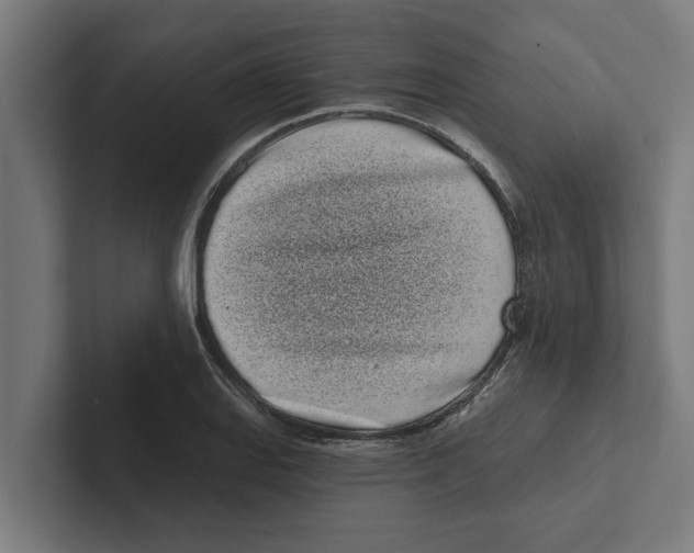 X0000102291127200808221351