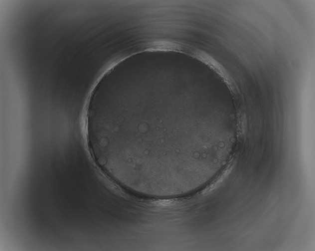 X0000102291130200808221352