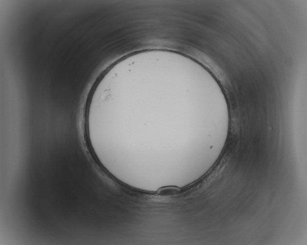 X0000102291136200808221352