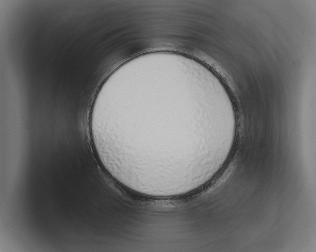 X0000102291137200808221352