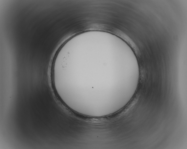 X0000102291138200808221352