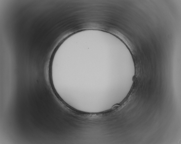 X0000102291139200808221352