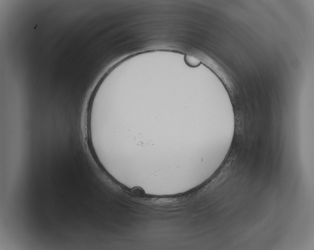 X0000102291140200808221352