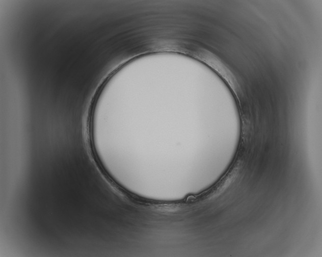 X0000102291141200808221352