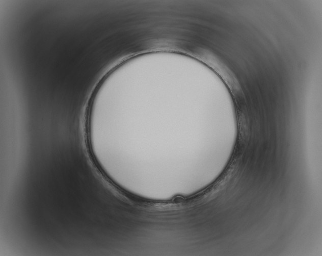 X0000102291142200808221352