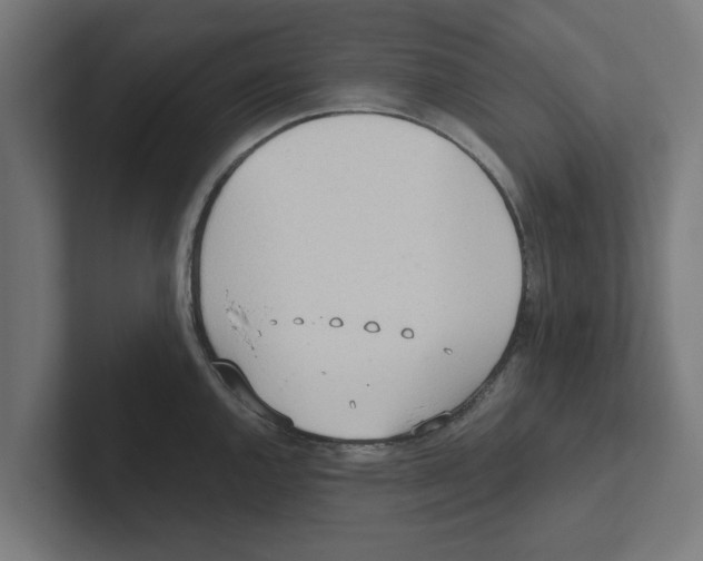 X0000102291144200808221352