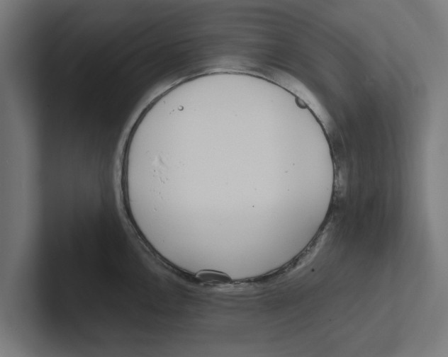 X0000102291146200808221352