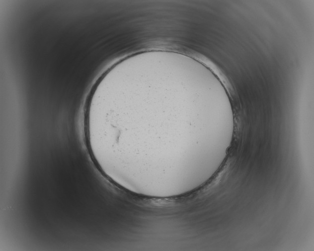 X0000102291147200808221352