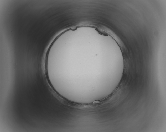 X0000102291148200808221352