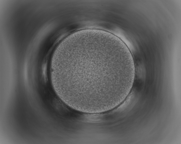 X0000102291150200808221352