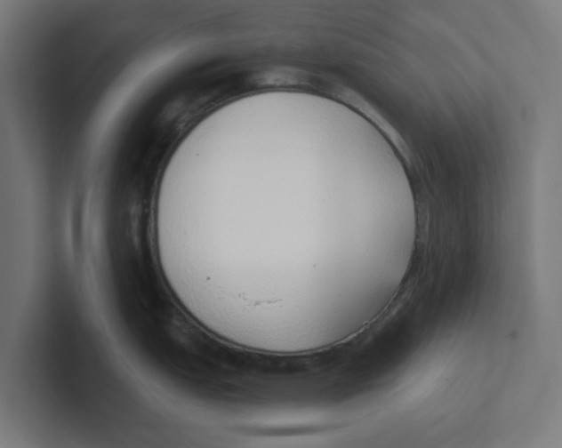 X0000102291151200808221352