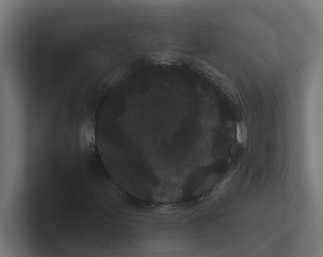 X0000102291155200808221351