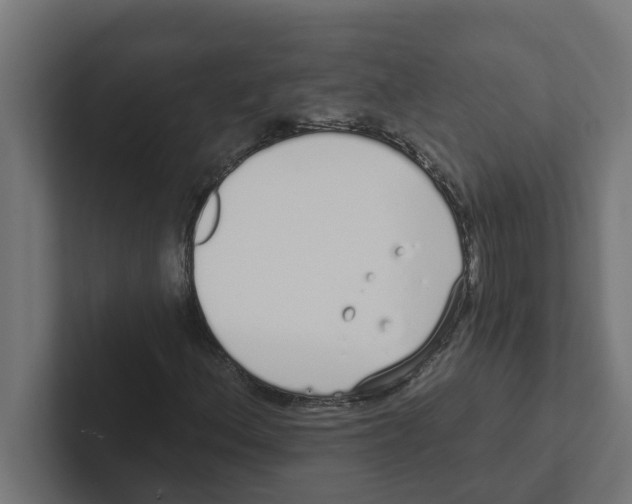 X0000102291156200808221351