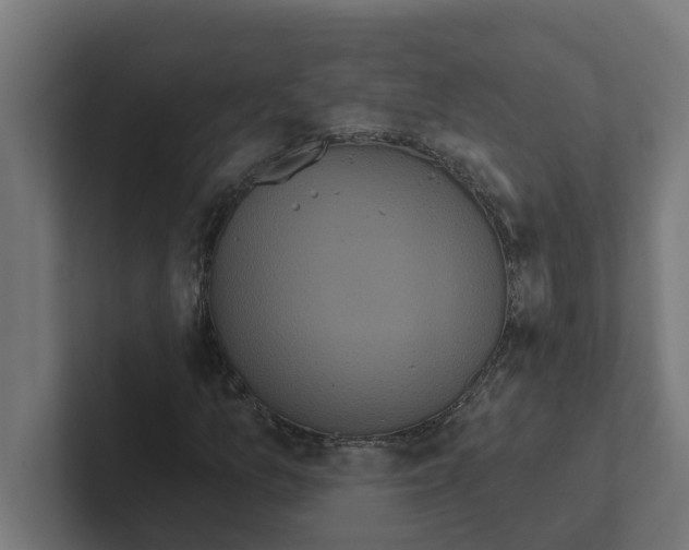 X0000102291157200808221351