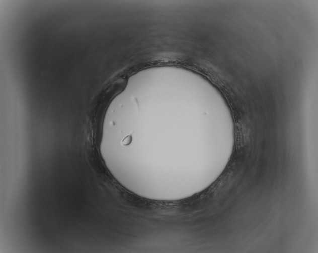 X0000102291158200808221351