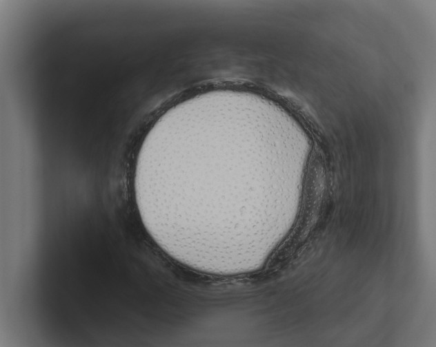 X0000102291159200808221351