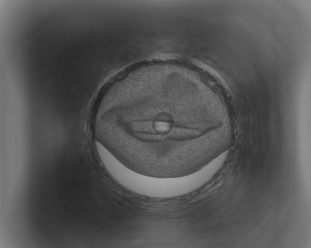 X0000102291160200808221351