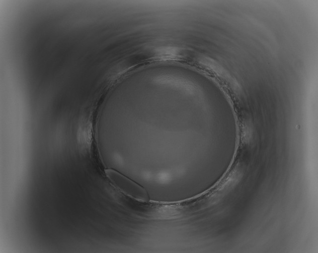 X0000102291161200808221351