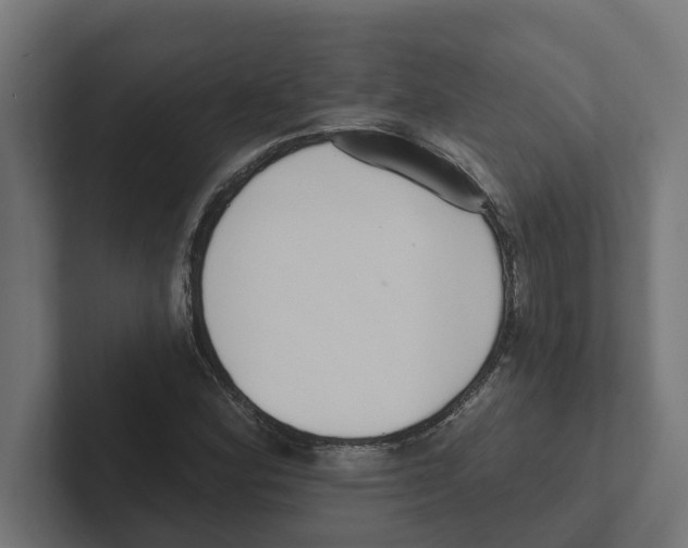 X0000102291164200808221351