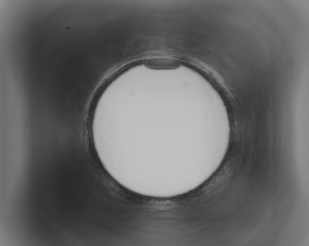 X0000102291168200808221351