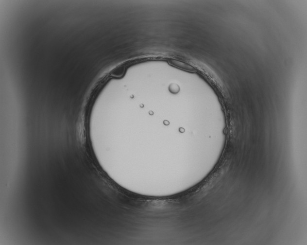 X0000102291172200808221351