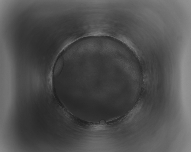 X0000102291173200808221351