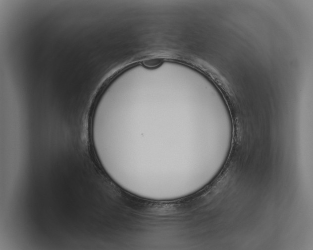 X0000102291174200808221351