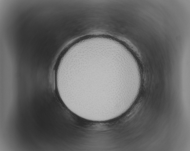 X0000102291175200808221351