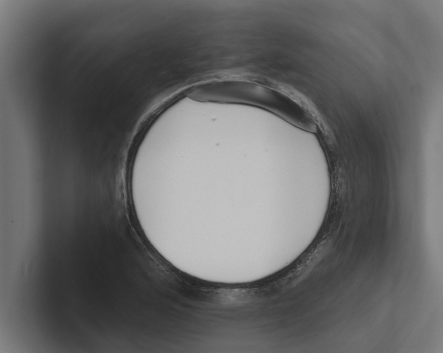 X0000102291176200808221351